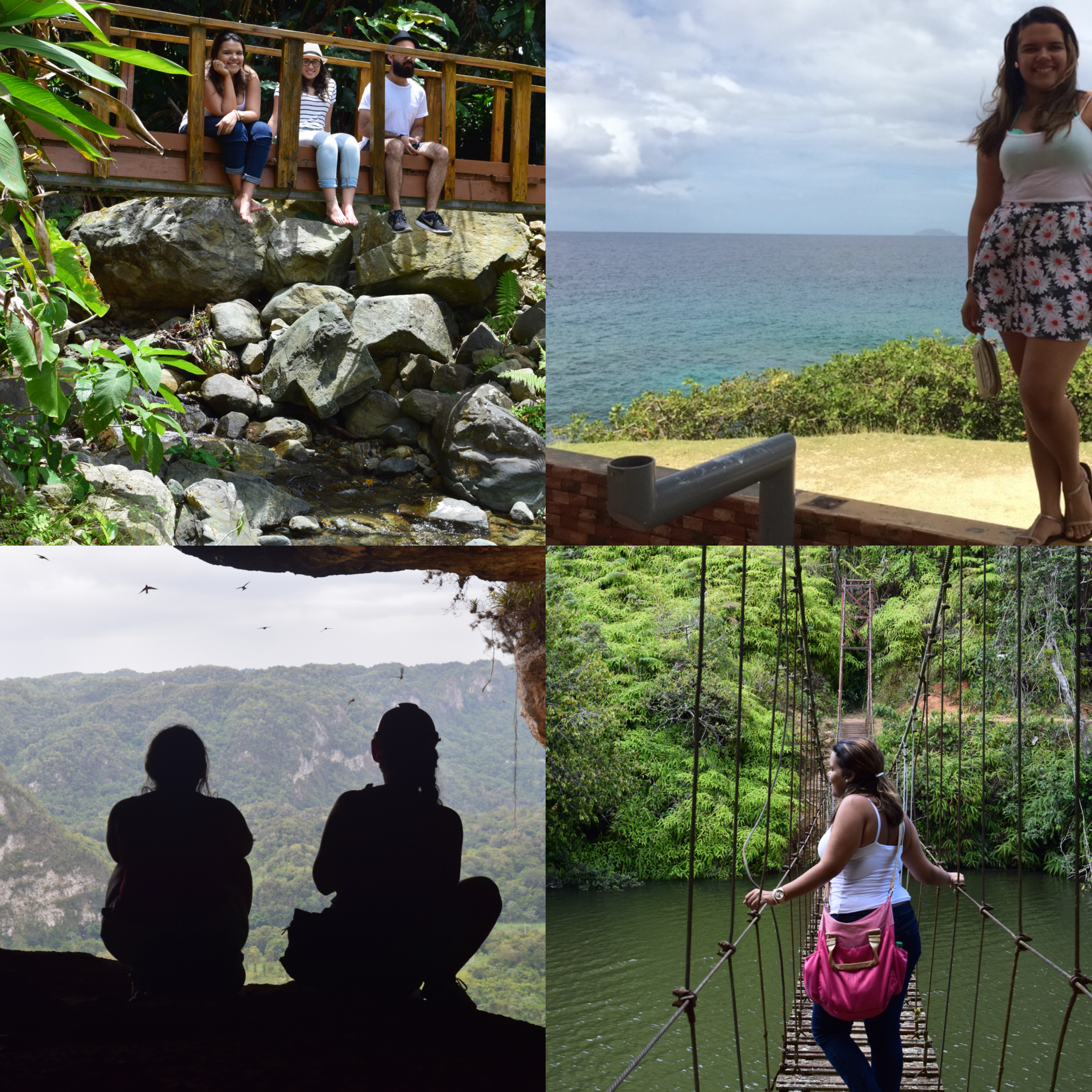 DSC_0019_Fotor_Collage.1