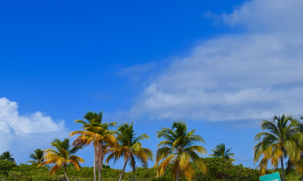 De paseo – Icacos,&nbsp;PR