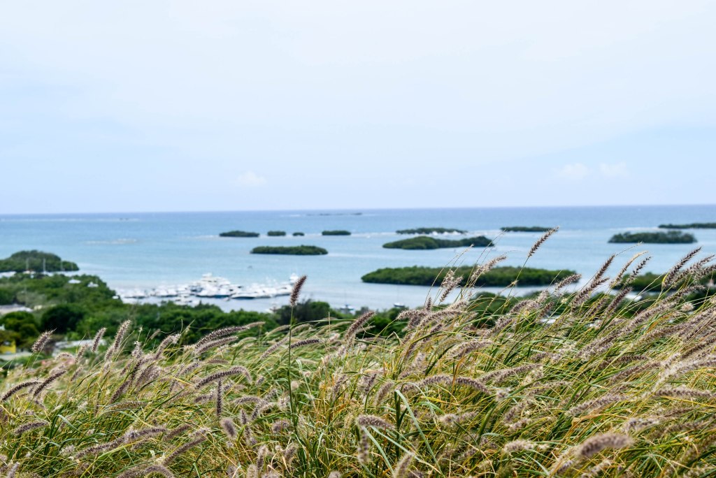 De Paseo – Lajas,&nbsp;PR