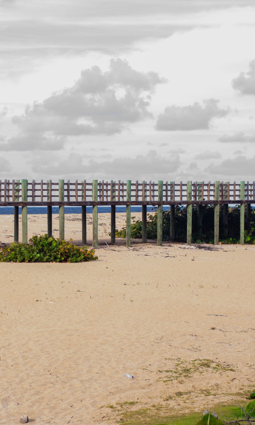 Por el tablado de&nbsp;Isabela